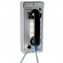 Depaepe Securphone (4 boutons d'appel, sans clavier)