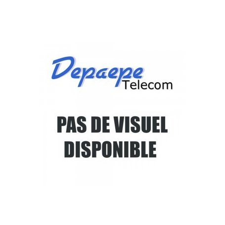 Depaepe Housse cuir avec clip ceinture pour Partner RX