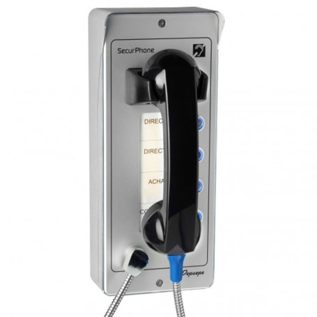 Depaepe Securphone (4 boutons d'appel, sans clavier)